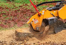 Best Grass Overseeding  in Enoch, UT